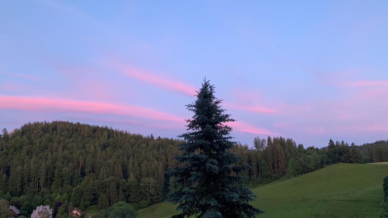 Ferienhaus Rotzinger Hinterzarten Exteriér fotografie