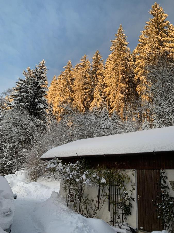Ferienhaus Rotzinger Hinterzarten Exteriér fotografie
